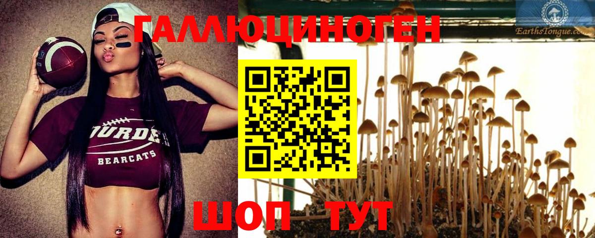 Псилоцибиновые грибы GOLDEN TEACHER  Вход с VPN  Конаково 
